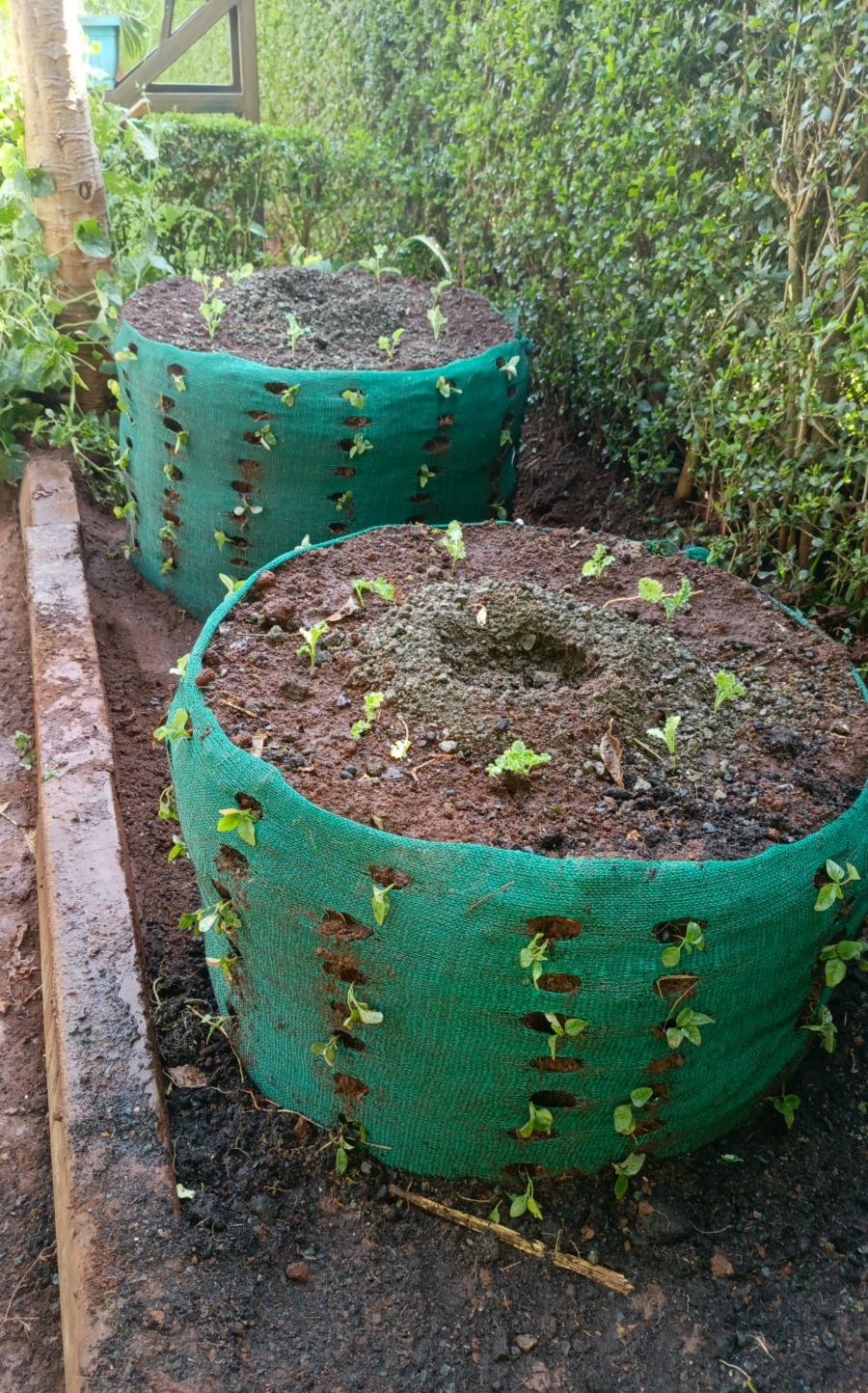 Grow bag abundant harvest